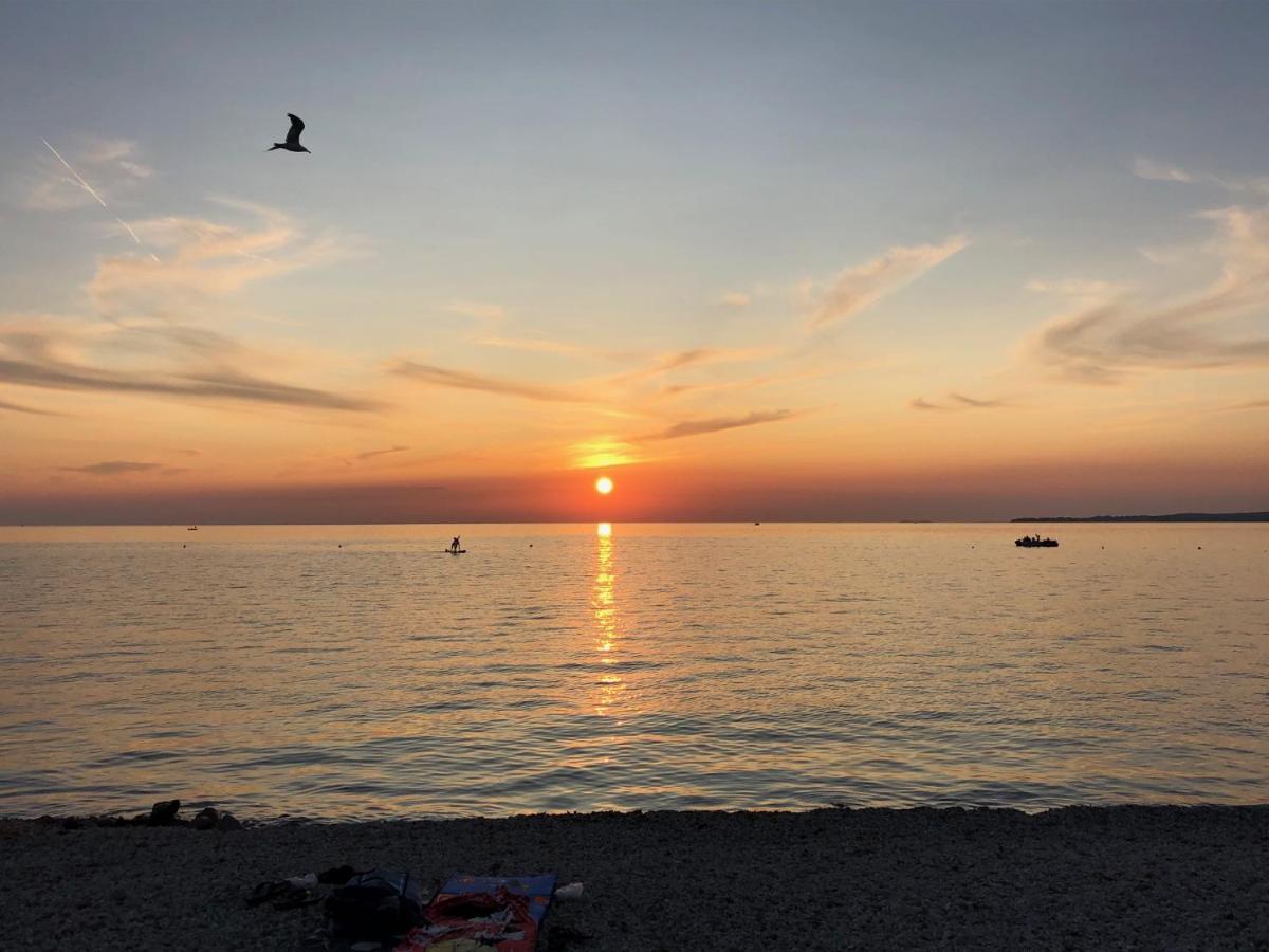 Shimunelka Peroj Kültér fotó