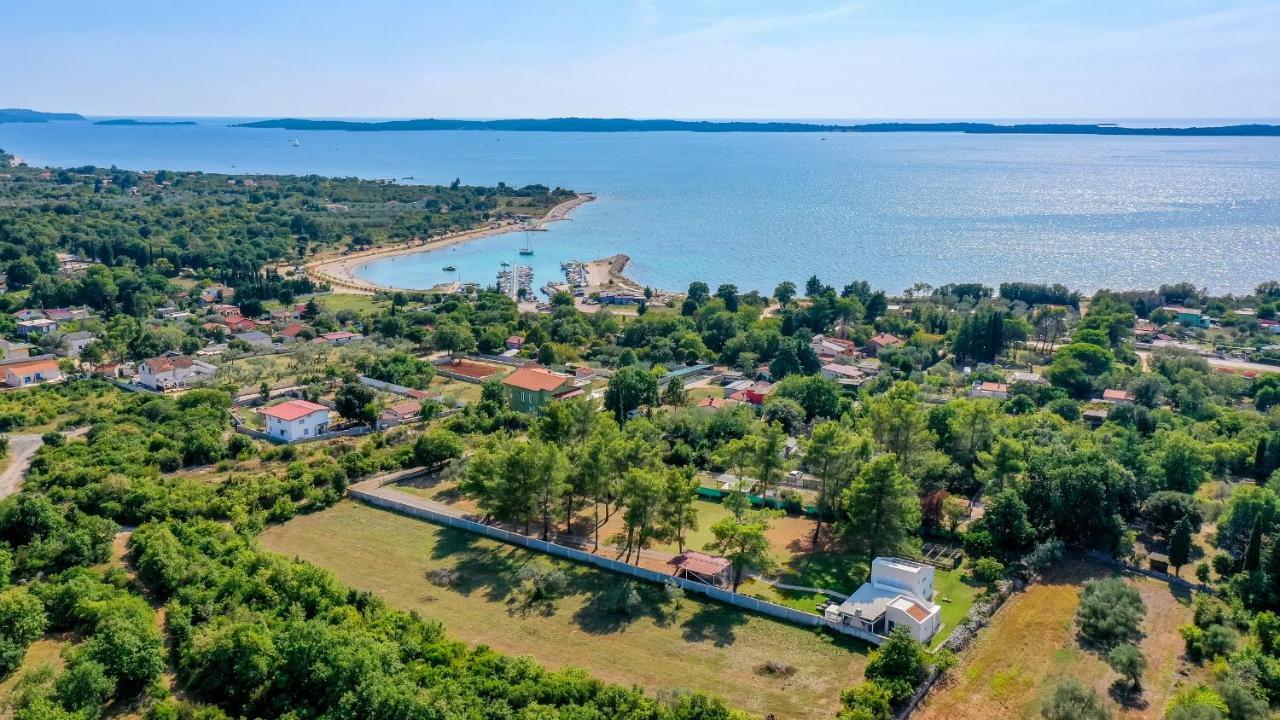 Shimunelka Peroj Kültér fotó