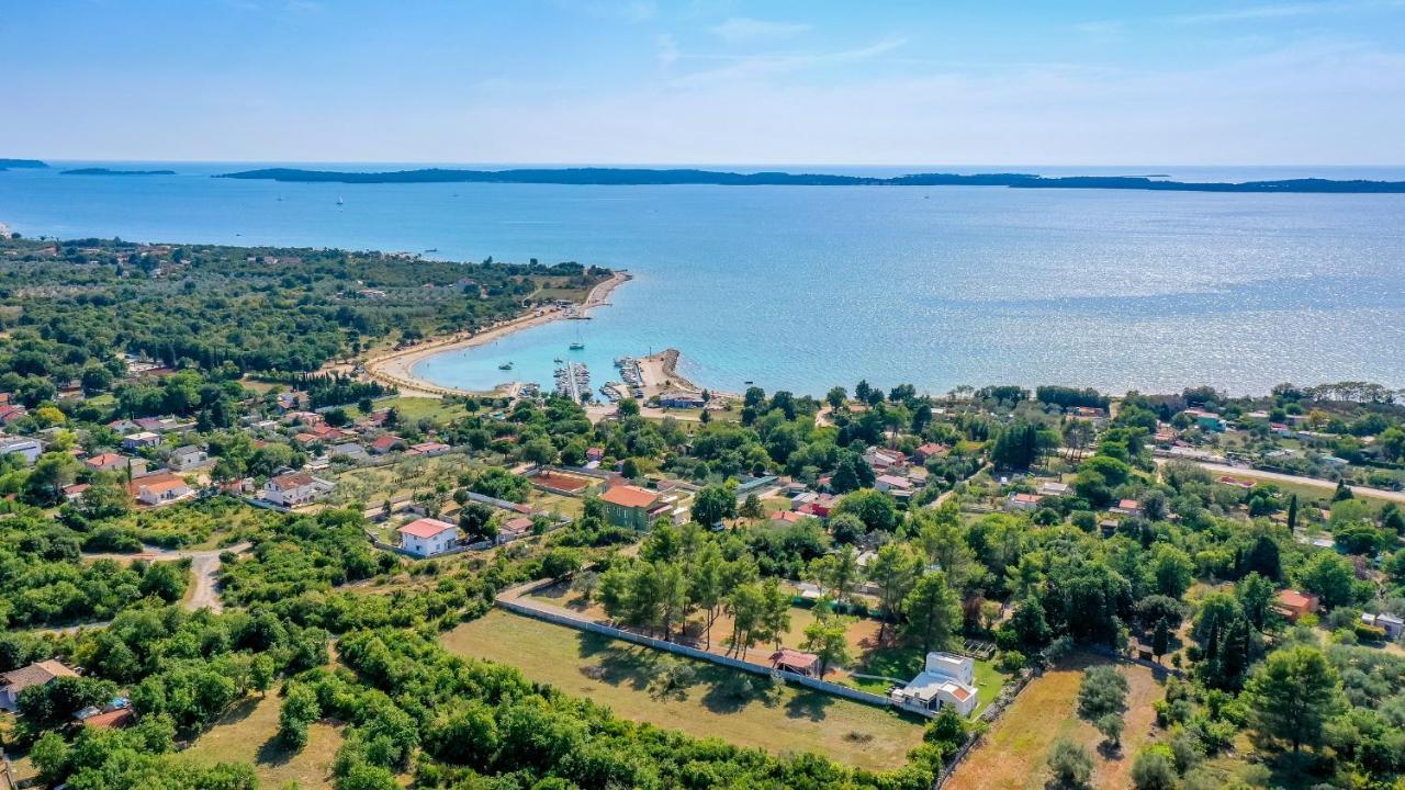 Shimunelka Peroj Kültér fotó